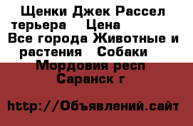 Щенки Джек Рассел терьера  › Цена ­ 15 000 - Все города Животные и растения » Собаки   . Мордовия респ.,Саранск г.